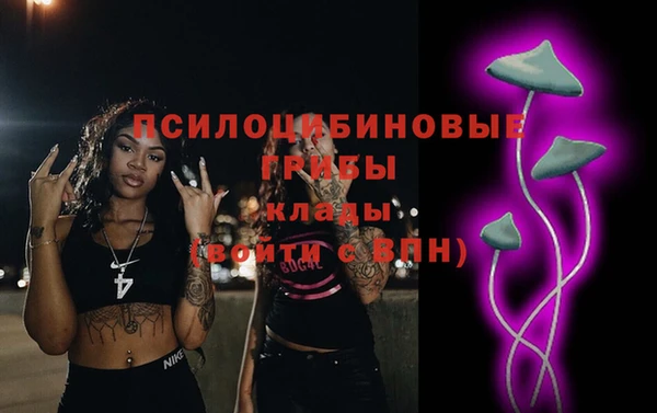 прущий лед Козельск