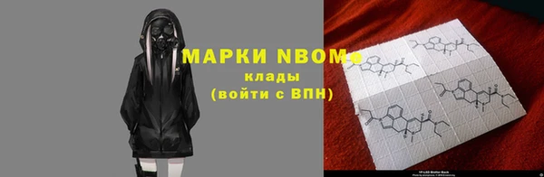 соль ск Козловка