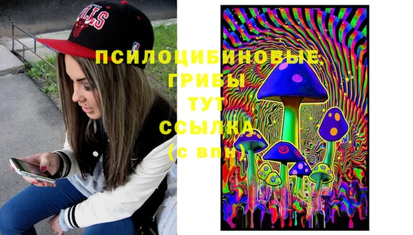 прущий лед Козельск