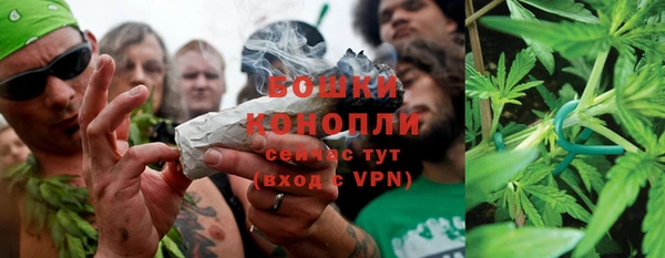 прущий лед Козельск