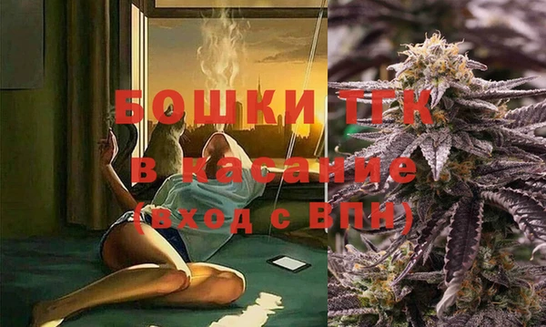 крисы Костерёво