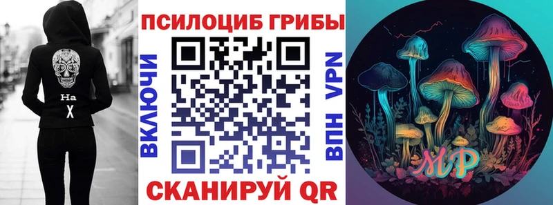 Псилоцибиновые грибы прущие грибы  Михайловка 